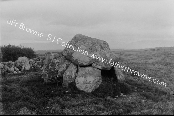 CROMLECH & GRAVE STONES SOUTH OF ROAD